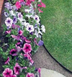 2mm Thick Heavy Duty Lawn Edging Black - 5" Deep -Gardening Shop 3mm edging 8 resize 67143.1521138049