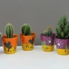 Cactus In Decorative Pot
