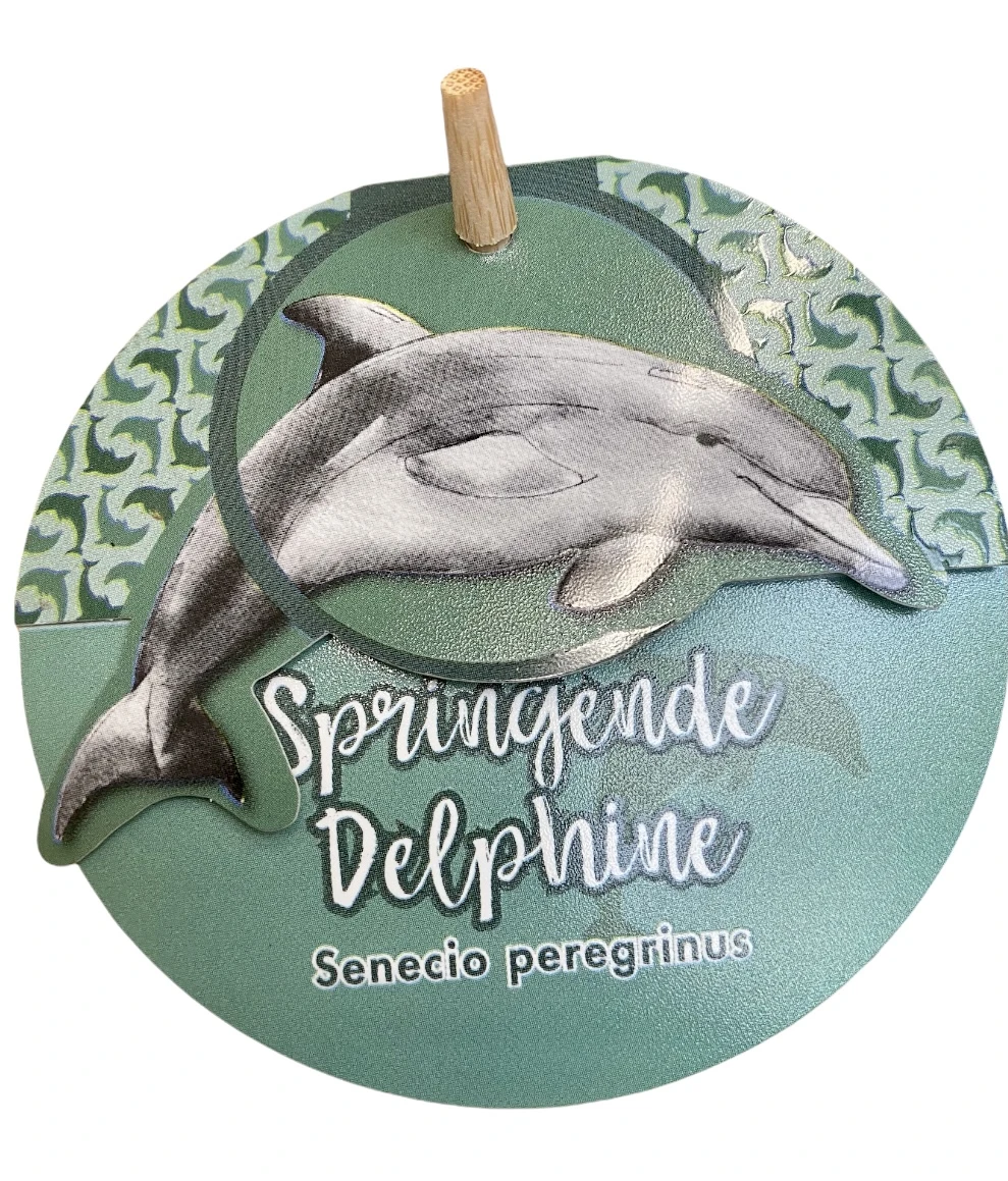 String Of Dolphins - Senecio Peregrinus 3 String Of Dolphins - Senecio Peregrinus - Image 3