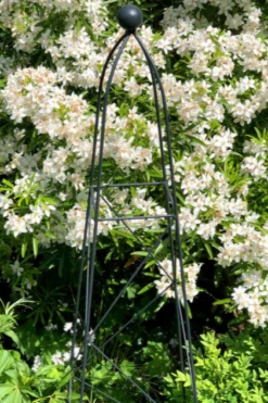 King Obelisk Ultra 1.2m