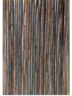Willow Screen